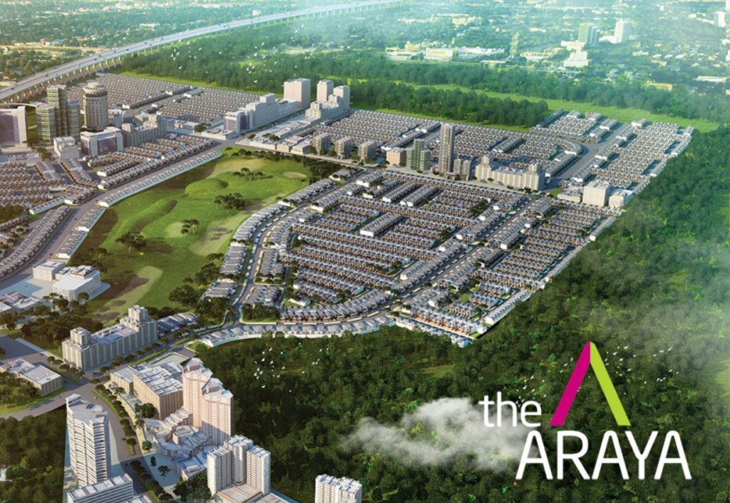 the Araya