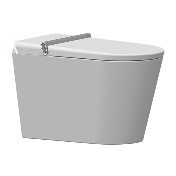 AER Automatic Toilet Intelligent Smart Closet ISC - 01 N White Finished