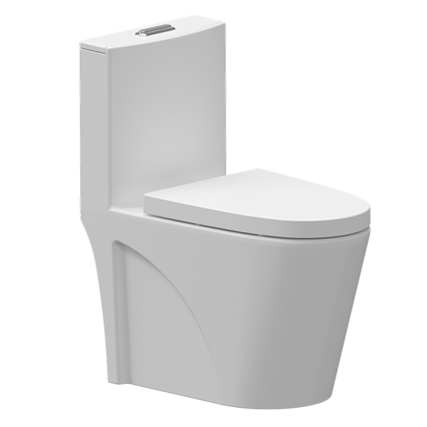 AER Siphonic One Piece Toilet PP Seat Cover OSC - 11 White Finished