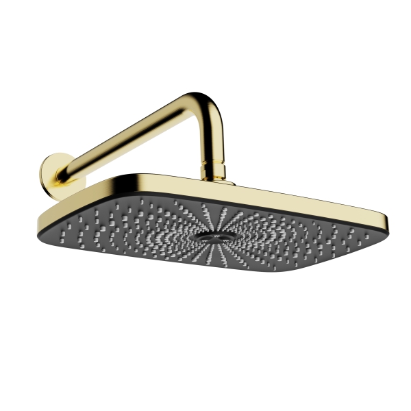 AER WS 29 BG matte gold luxury overhead shower head with black plate