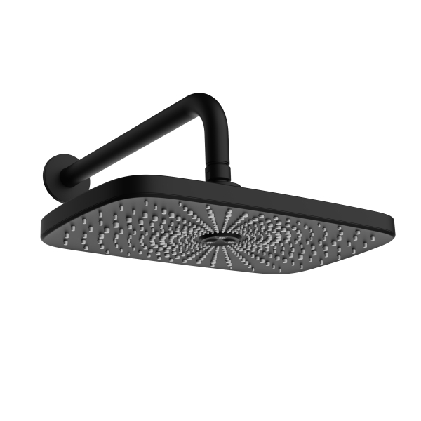 AER Matte Black Wall Shower WS 29 BL overhead view
