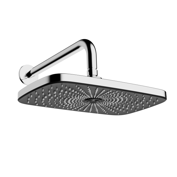 AER Chrome Wall Shower Head WS 29 C with black face plate