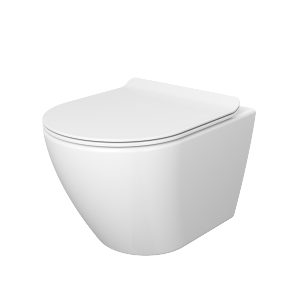 washdown wall hung toilet HWC 09